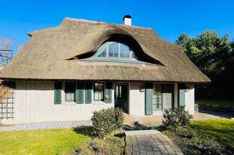 Buschvitz Häuser, Buschvitz Haus kaufen