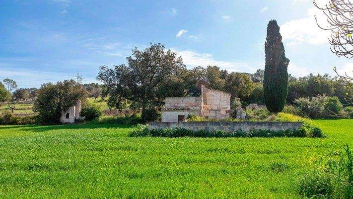 Rustikales Grundstück zum Verkauf in Muro, Mallorca