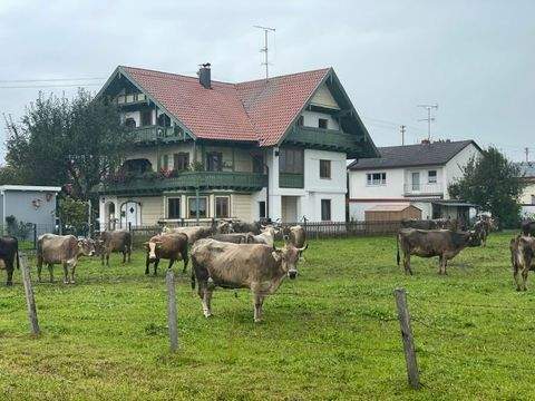 Peißenberg Wohnungen, Peißenberg Wohnung mieten
