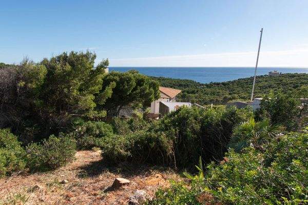 Blick über das Grundstück