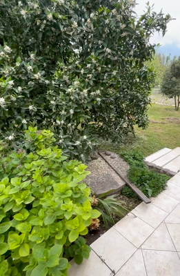 Bildschirmfoto 2025-05-02 um 18.34.14.png