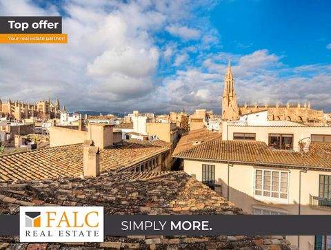 Palma de Mallorca Wohnungen, Palma de Mallorca Wohnung kaufen