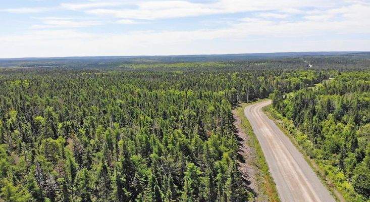 Cape Breton - Big Pond - East Bay Hills - Großzügi