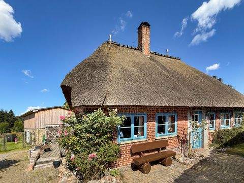 Dörphof Häuser, Dörphof Haus kaufen