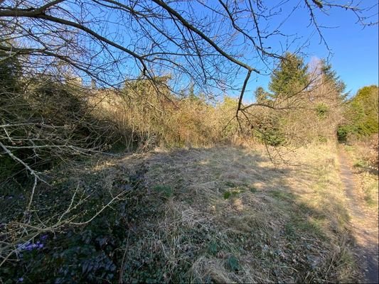 Blick aufs Grundstück - Nord-Westansicht