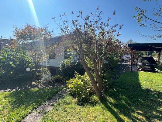 Seitenansicht Haus zum Garten mit Carport 