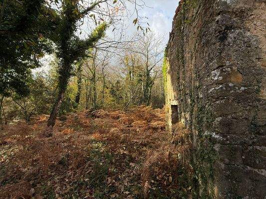 895C4614-8CD8-4FE3-8C81-14F8FC08DCEA_1_102_o