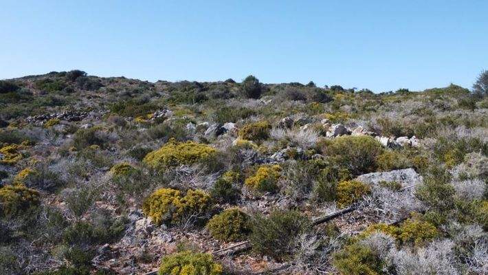 Kreta, Tersana: Grundstück mit Meerblick und Bergblick zu verkaufen