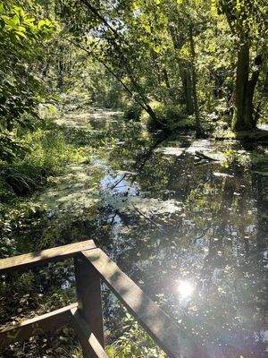 Fluss Briese am Garten 