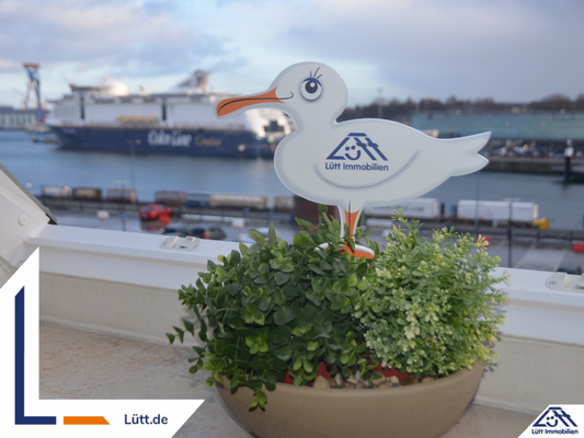 Titelbild - Lütt Immobilien - Color Line