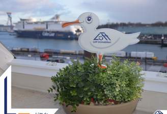 Titelbild - Lütt Immobilien - Color Line