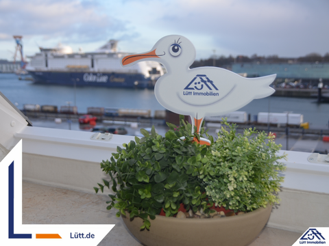 Preetz Halle, Preetz Hallenfläche