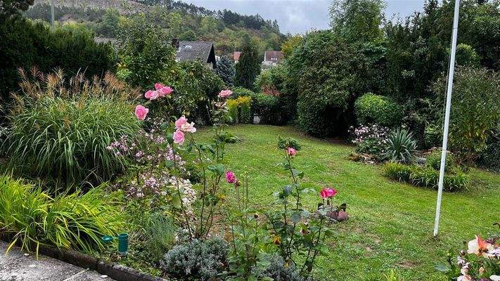 WhatsApp Image 2025-11-07 at 11.16.28 (2)