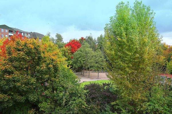 GrBr61 Blick in der Park.jpg