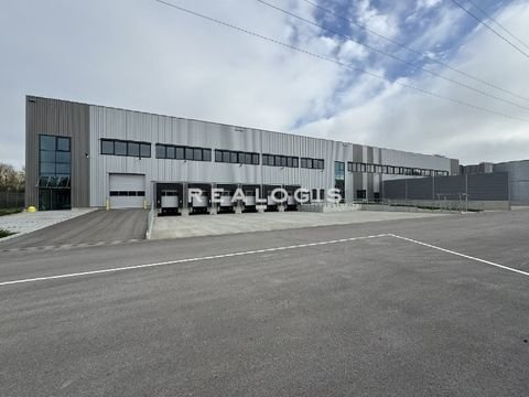 Mainaschaff Halle, Mainaschaff Hallenfläche