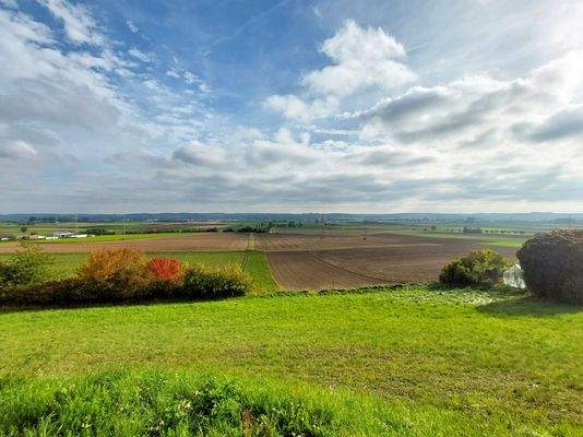 Aussicht von Straße Freiwinklstr 9_bearbeitet.jpg