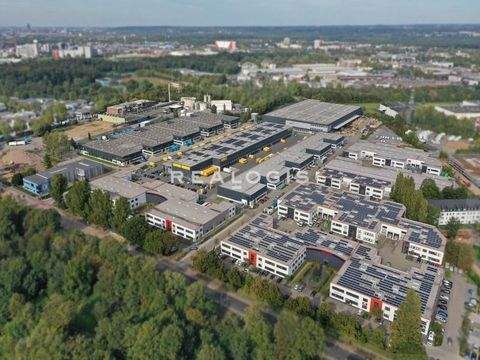 Düsseldorf Halle, Düsseldorf Hallenfläche