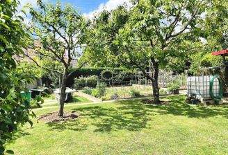 Ein Traum für den Gartenfreund... der große Nutz- und Ziergarten mit Obstbäumen