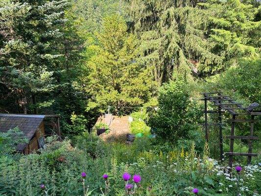 Blick ins Grundstück.jpg