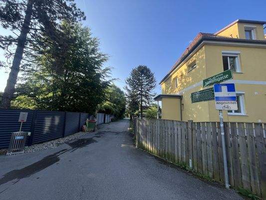 Bild 50