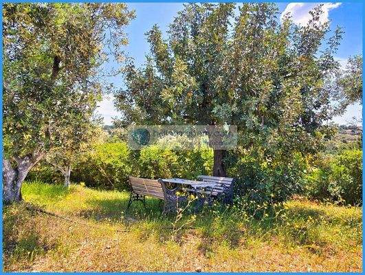 c13b9708f48c49419eca70d83089a9d5-original