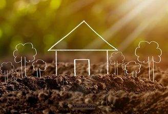 Keine Originalbilder