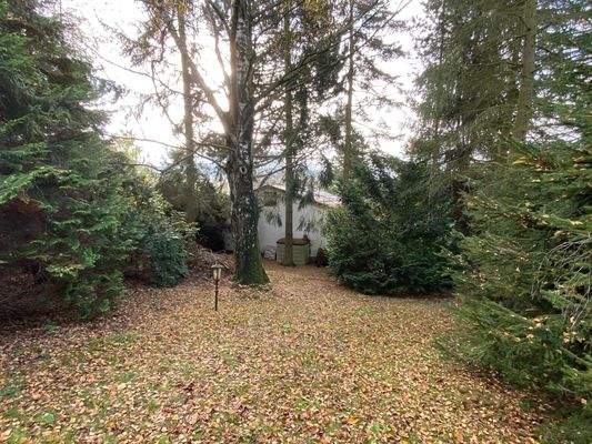 Blick von der Einfahrt