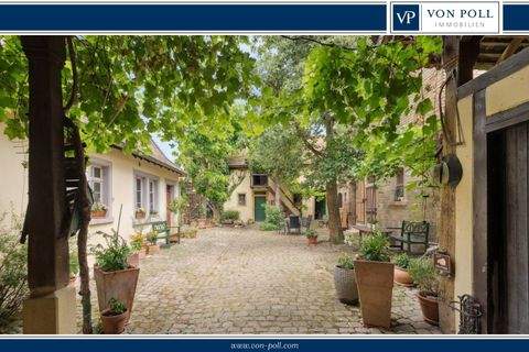 Albig Häuser, Albig Haus kaufen