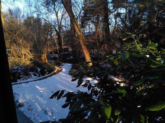 Teilstück des hinteren Gartens