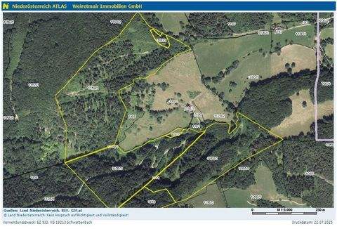 Schwarzenbach Bauernhöfe, Landwirtschaft, Schwarzenbach Forstwirtschaft