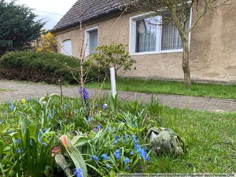 Sieversdorf-Hohenofen Häuser, Sieversdorf-Hohenofen Haus kaufen