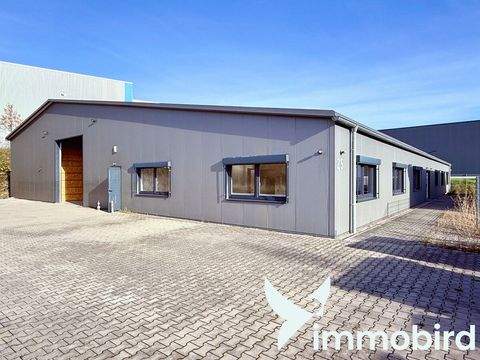 Dortmund Halle, Dortmund Hallenfläche