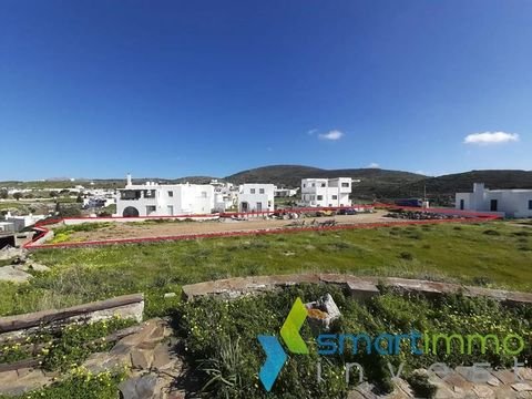 Vivlos, Naxos Bauernhöfe, Landwirtschaft, Vivlos, Naxos Forstwirtschaft