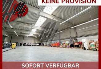 INFOS UNTER: 06171-586000