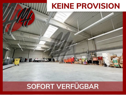 Hattersheim Halle, Hattersheim Hallenfläche