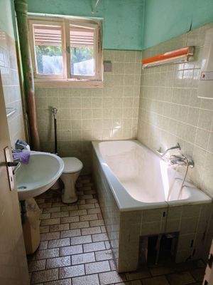 IMG_20250617_171059.jpg
