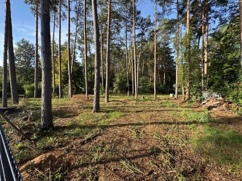 Borkwalde Grundstücke, Borkwalde Grundstück kaufen