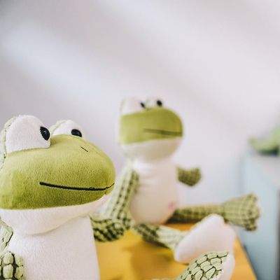 Ein Paradies für Kinderträume