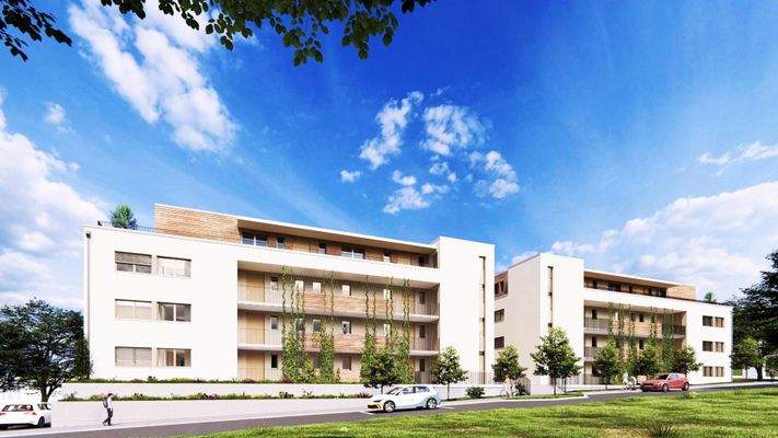 Visualisierung des Projekts