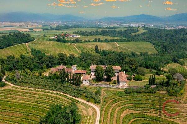 Liegenschafz Manzano (2)