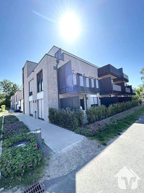 Lingen Garage, Lingen Stellplatz