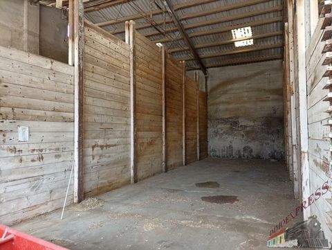 Oberweiden Halle, Oberweiden Hallenfläche