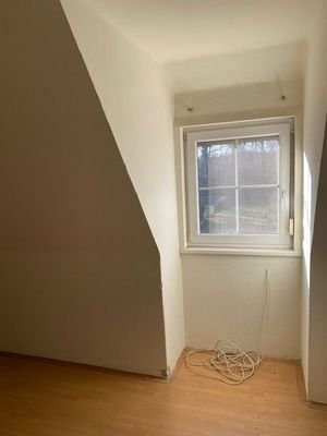 Zimmer-DG-II.jpg
