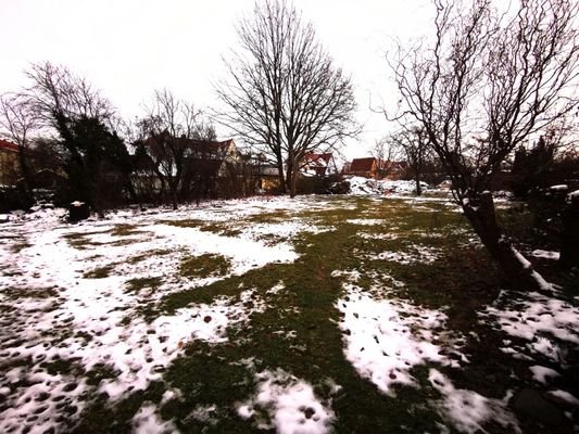 Winterblick ins Grundstück