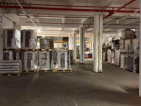 Hamburg Halle, Hamburg Hallenfläche