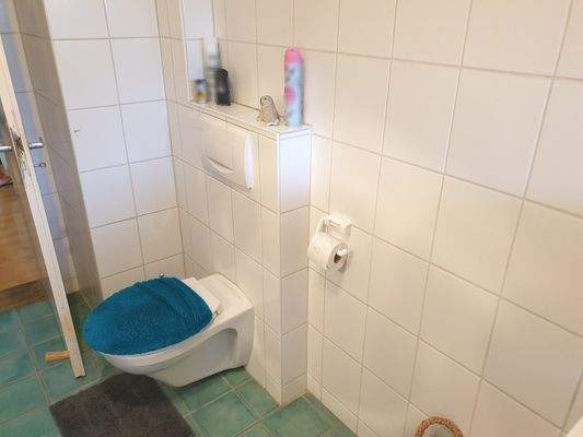 EG Tageslichtbad Dusche Hänge-WC