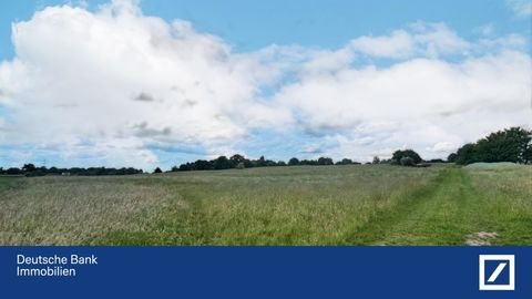Ganderkesee Bauernhöfe, Landwirtschaft, Ganderkesee Forstwirtschaft