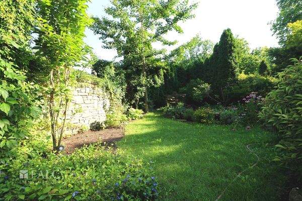 Garten noch mit Thuja-Hecke