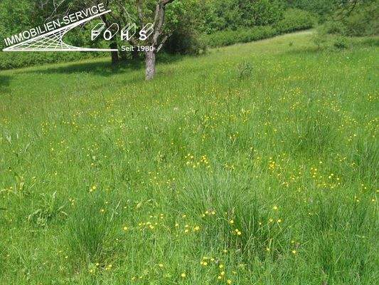 Unterböhr.Flur 1500-1=4.578 m² Foto 7 