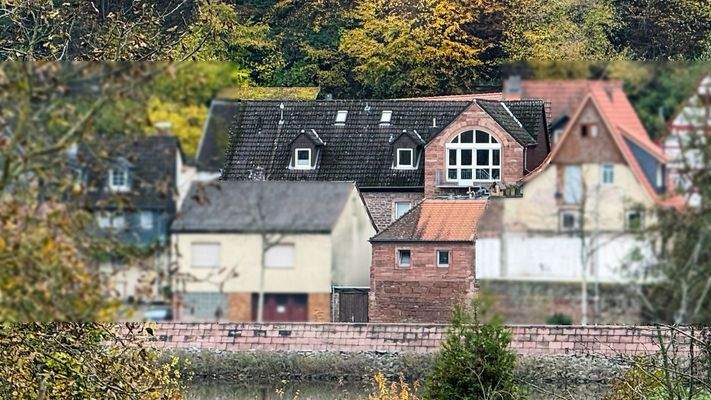 Blick vom anderen Mainufer